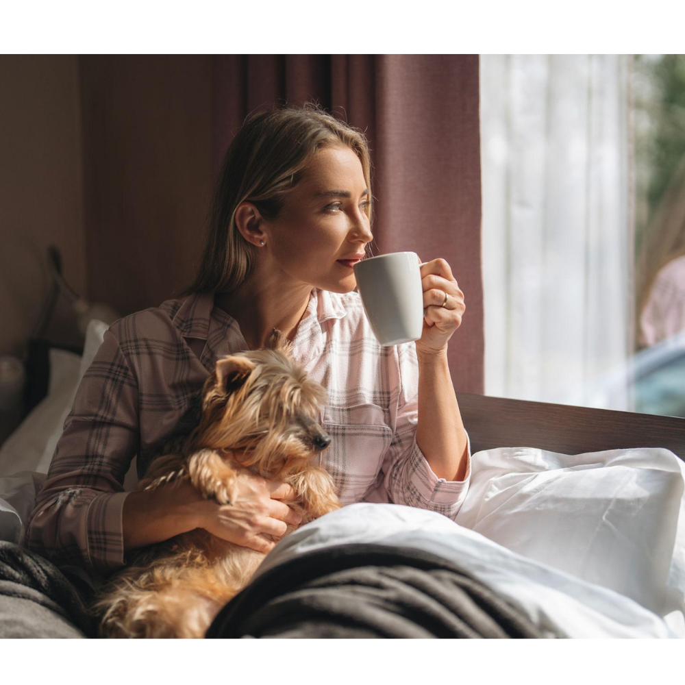 person sitting by a window with a dog in soft morning light, calm and reflective moment about choosing a pet